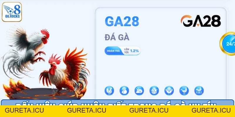 Trang Đá Gà Uy Tín O8 - Sân Chơi Đẳng Cấp Số 1 Việt Nam - gureta