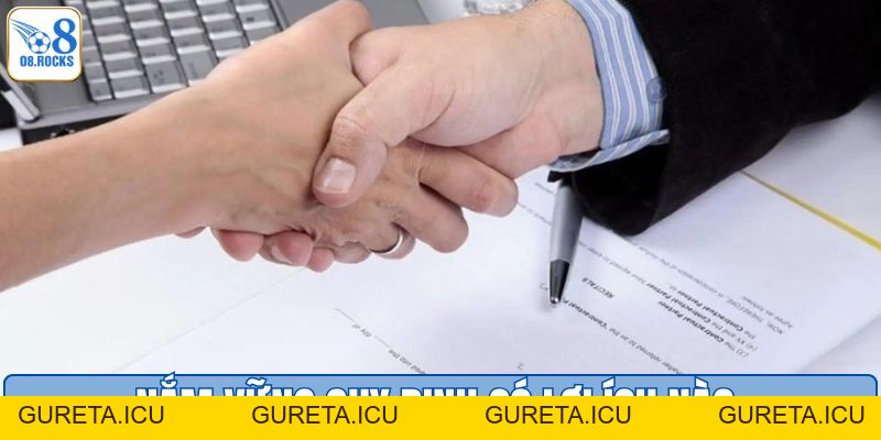 Tổng Hợp Điều Khoản Và Điều Kiện O8 Quan Trọng Cần Nhớ - gureta