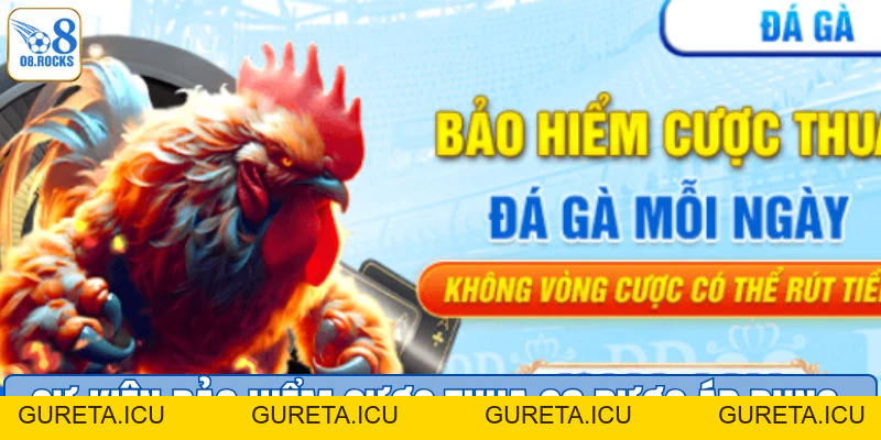 Bảo Hiểm Cược Thua O8 - Giảm Rủi Ro, Tối Ưu Tiền Thưởng - gureta